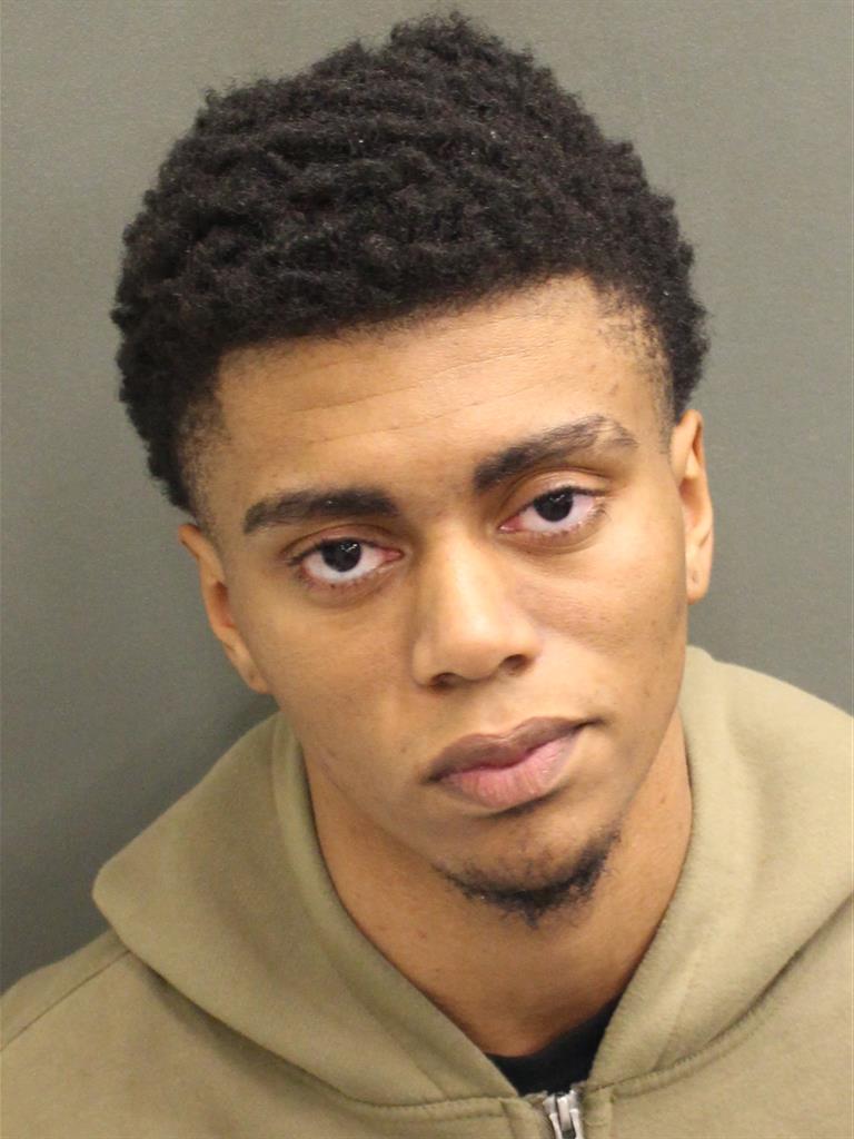  FELICCI MICHEL Mugshot / County Arrests / Orange County Arrests