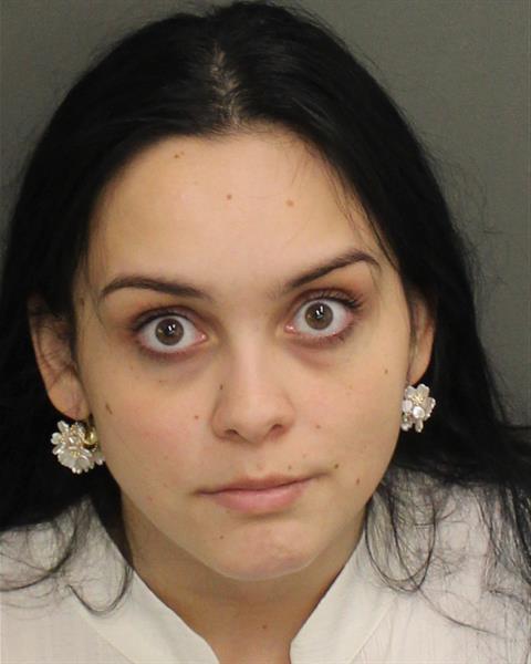  SORINA HORNEA Mugshot / County Arrests / Orange County Arrests