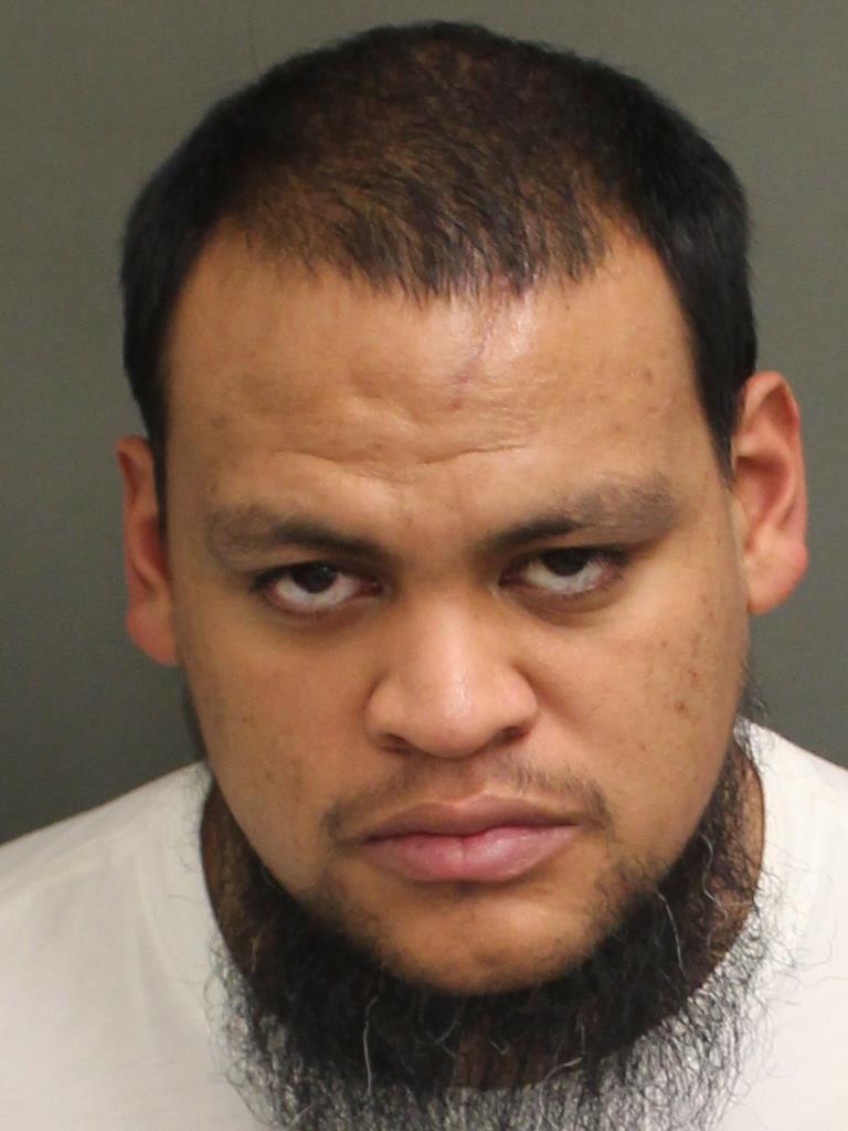  DANIEL GUSTAVO  JR POLANCO Mugshot / County Arrests / Orange County Arrests