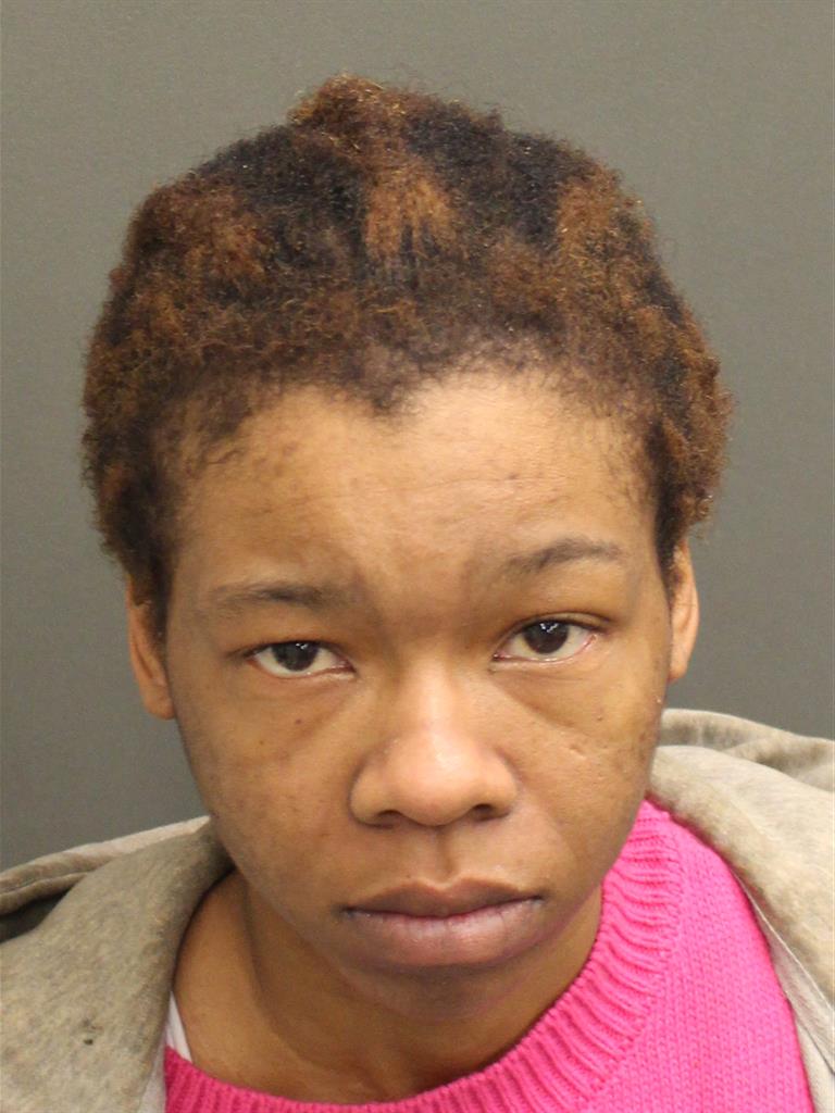  DEBORAHANN JONES Mugshot / County Arrests / Orange County Arrests