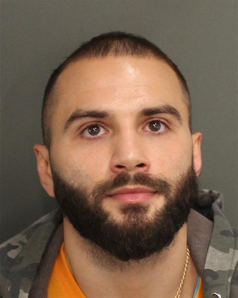  DMITRI S FONTANA Mugshot / County Arrests / Orange County Arrests