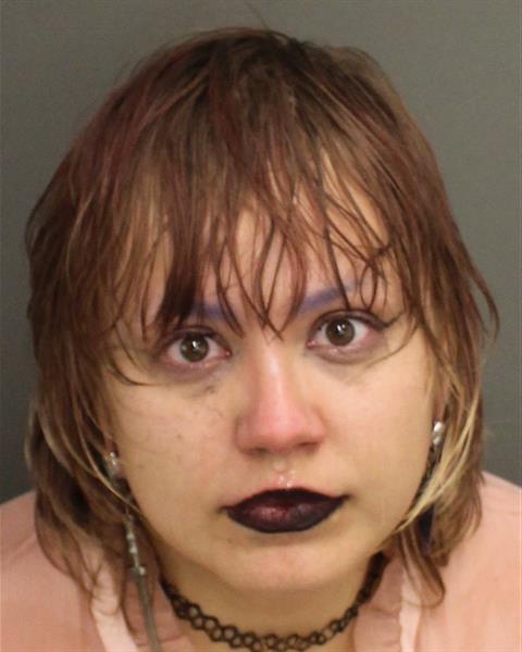  ALISA ALEKSANDROVN SKVORTSOVA Mugshot / County Arrests / Orange County Arrests