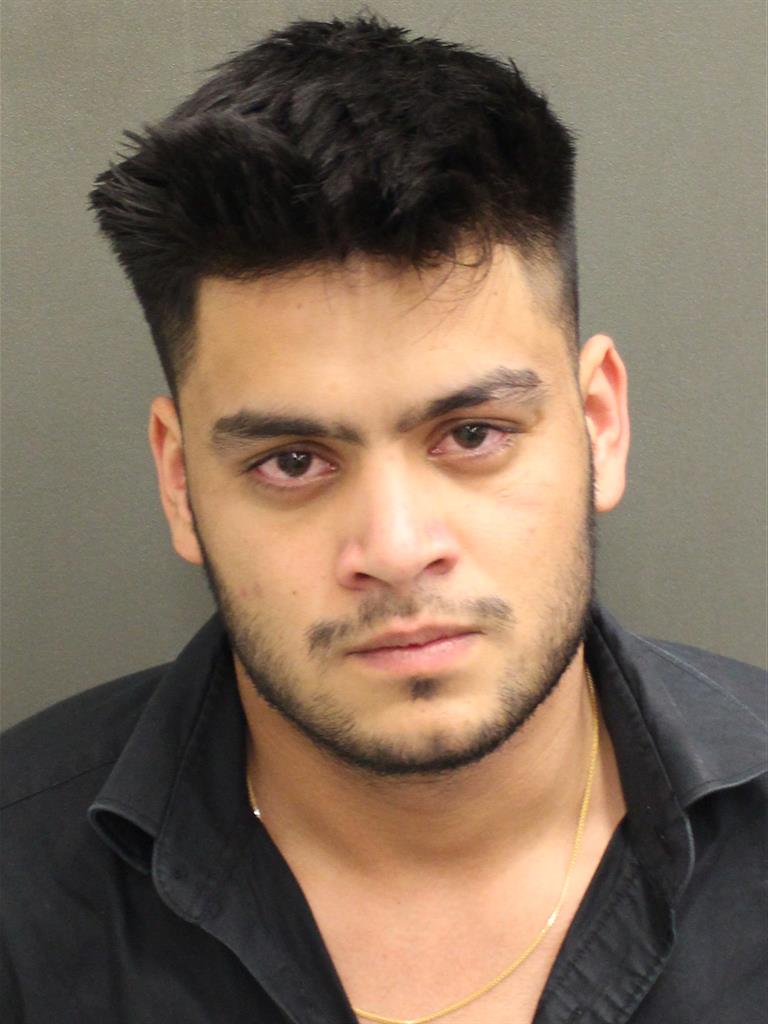 KARAN SHEORAN Mugshot / County Arrests / Orange County Arrests