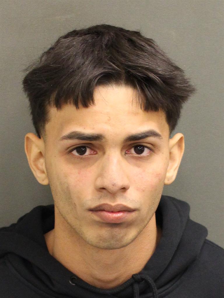 DAVID GABRIEL CLAUDIOFONSECA Mugshot DAVID GABRIEL CLAUDIOFONSECA Mugshot / County Arrests / Orange County Arrests