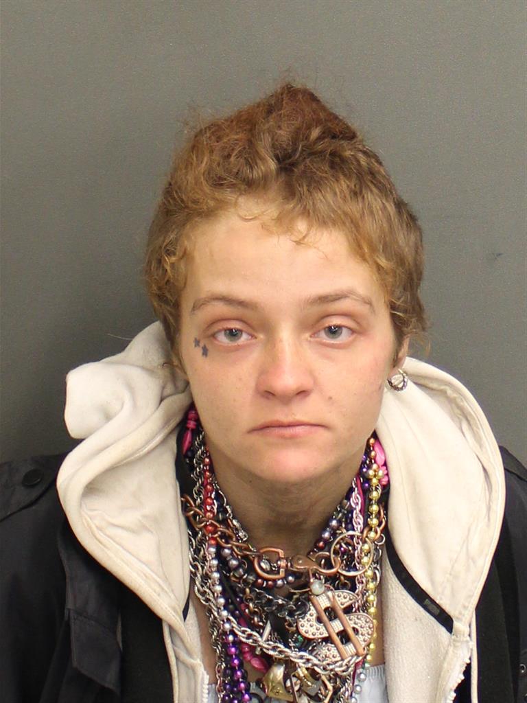  ALLIE M HUGHES Mugshot / County Arrests / Orange County Arrests