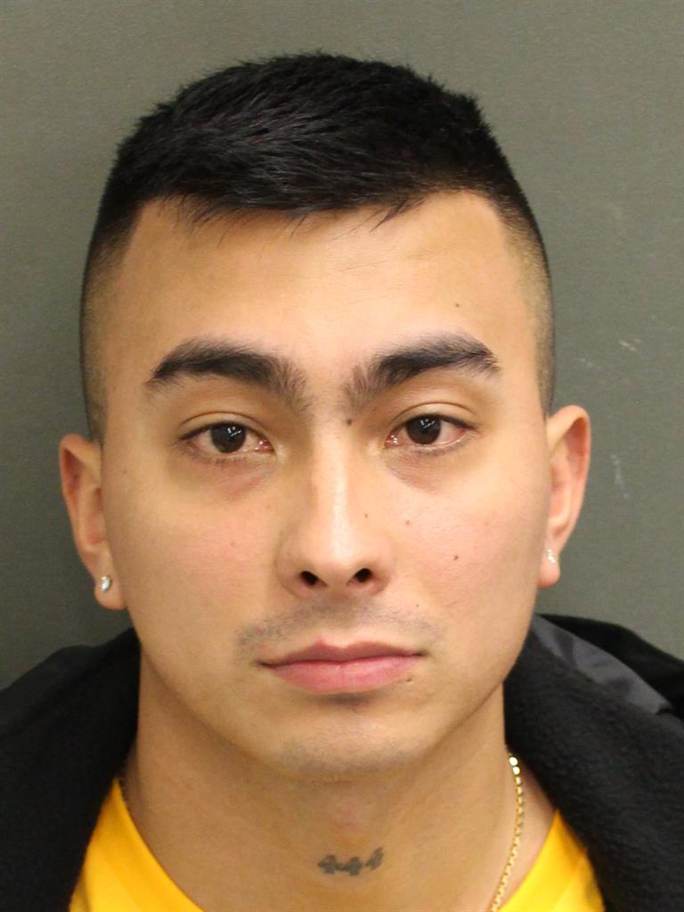  LUIS FERNANDO MORALEAL Mugshot / County Arrests / Orange County Arrests