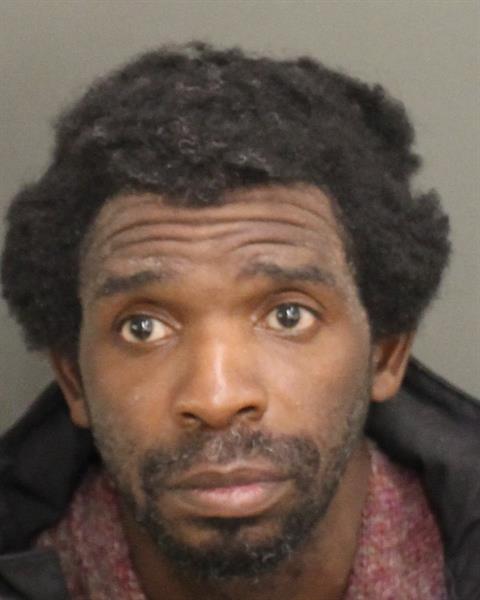  PHILIPPE BELLREESE FRANCILLON Mugshot / County Arrests / Orange County Arrests