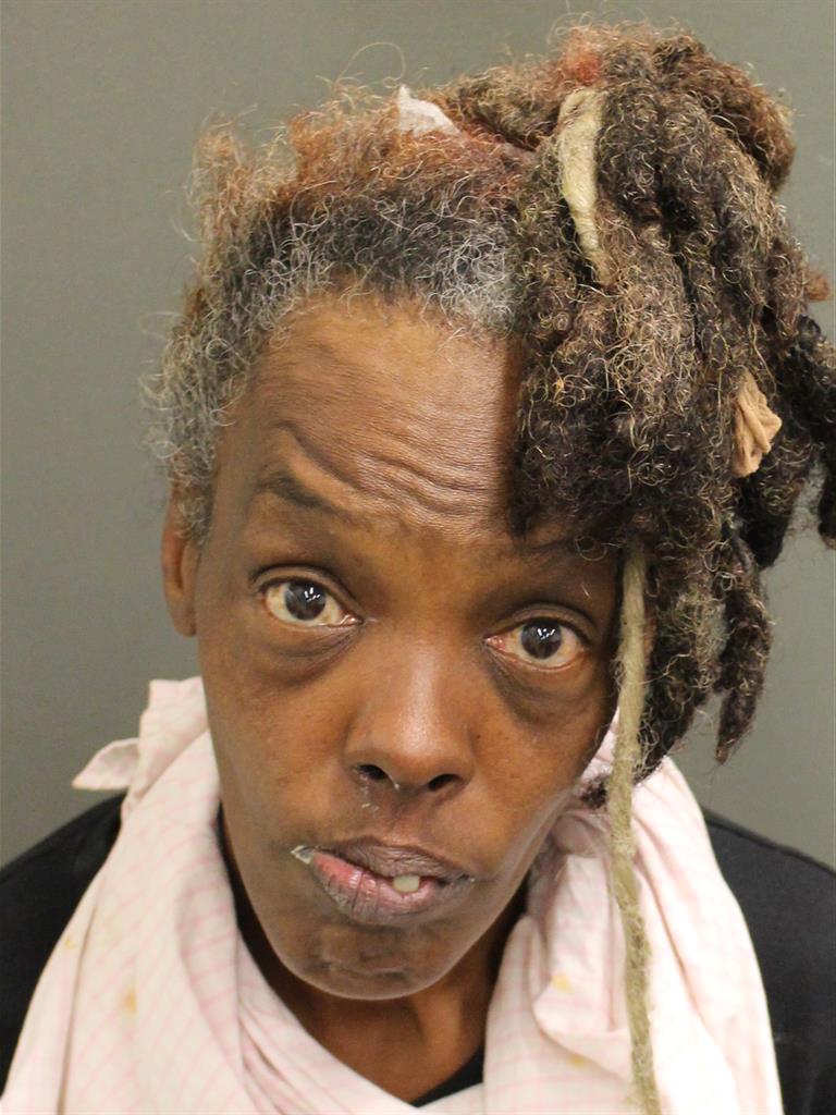  MICHELLE DENISE FORT Mugshot / County Arrests / Orange County Arrests