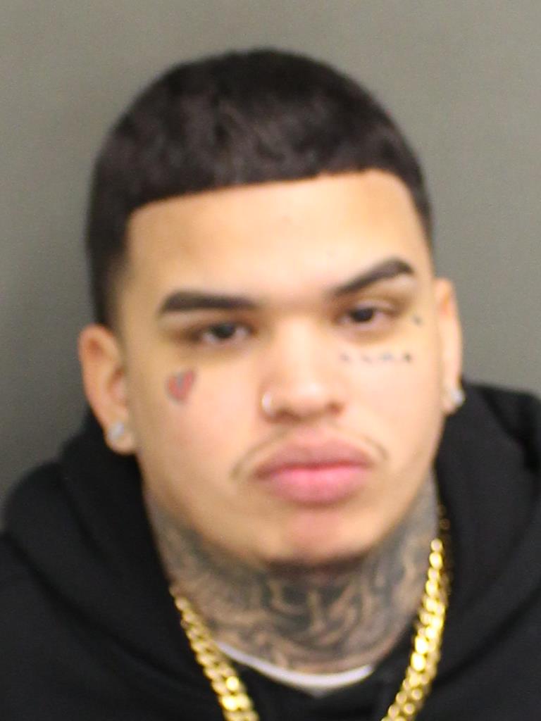  LEANDRO GOMEZSTINCER Photo Image