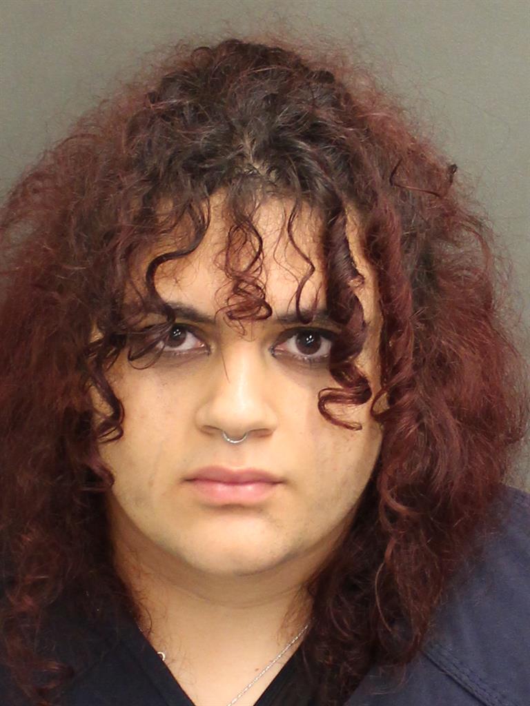  ILAYCIA JEANNETTE CASTILLO Mugshot / County Arrests / Orange County Arrests