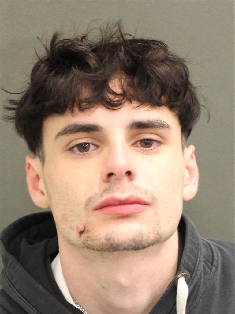  DOMINICK FALCON Mugshot / County Arrests / Orange County Arrests