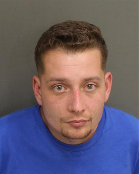  DYLAN CHARLES REED Mugshot / County Arrests / Orange County Arrests