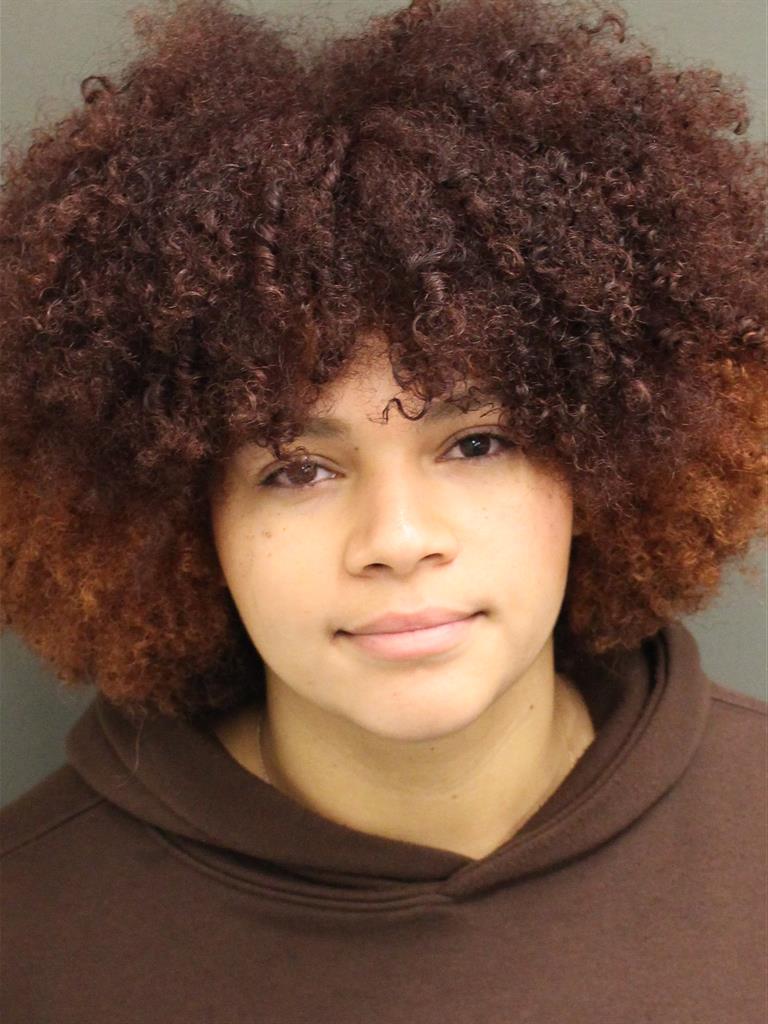  SHANNON HENDRIX Mugshot / County Arrests / Orange County Arrests