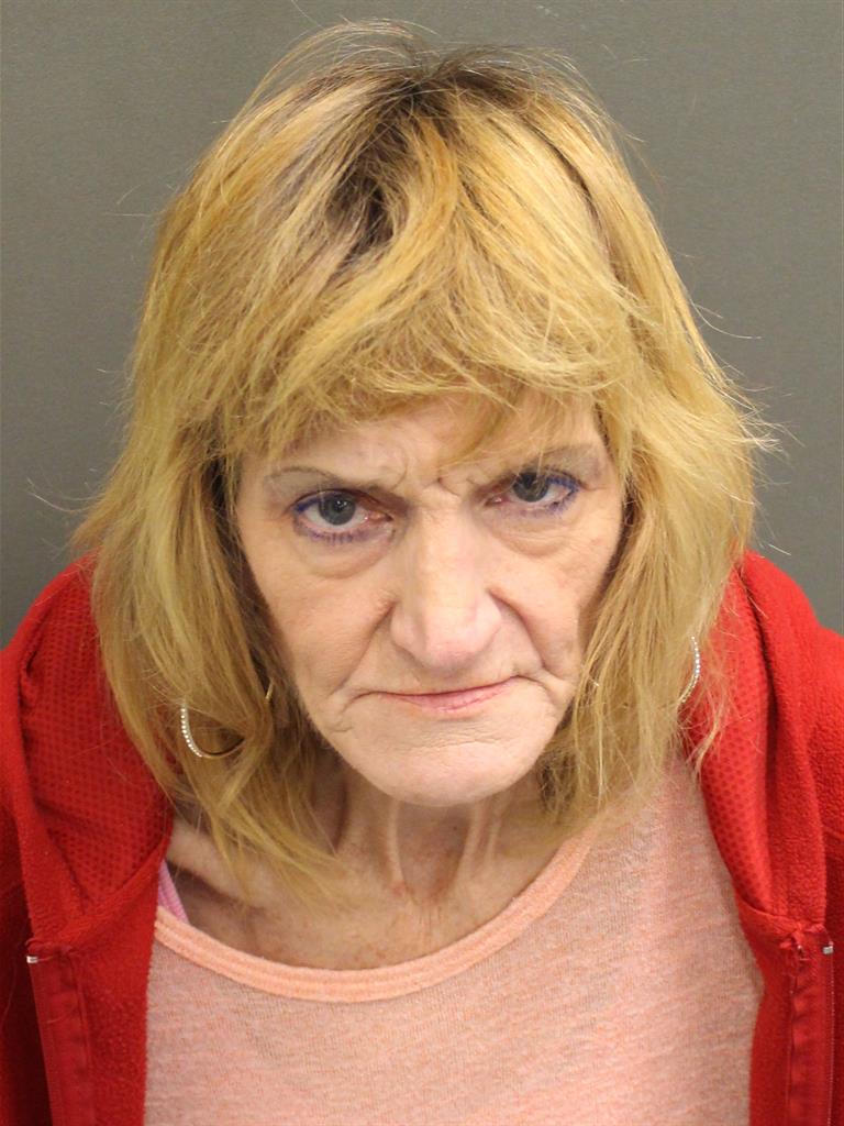  HEIDI MINOR WALKER Mugshot / County Arrests / Orange County Arrests