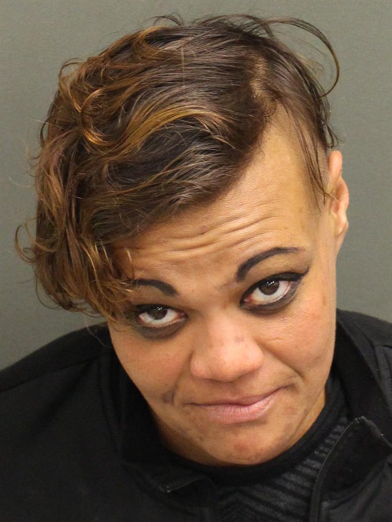  ELIZABETH CHANILE RIVERA Mugshot / County Arrests / Orange County Arrests