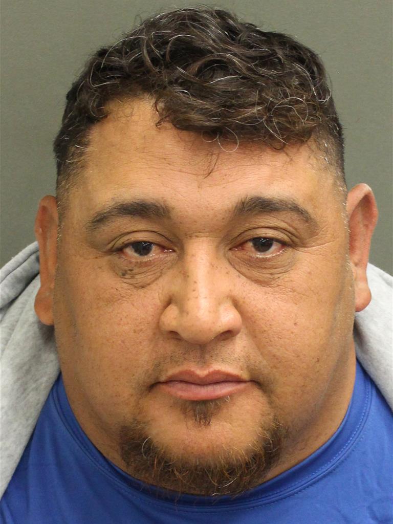  WILMER JOEL RIVERACALIX Mugshot / County Arrests / Orange County Arrests