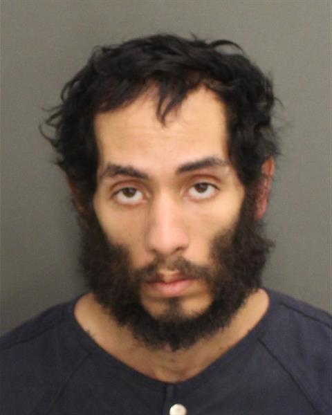  WILSON JUNIOR RUIZ Mugshot / County Arrests / Orange County Arrests