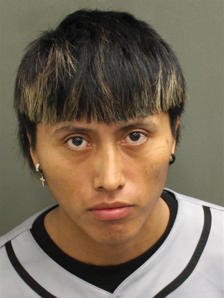  CHRISTIAN GARCIA Mugshot / County Arrests / Orange County Arrests
