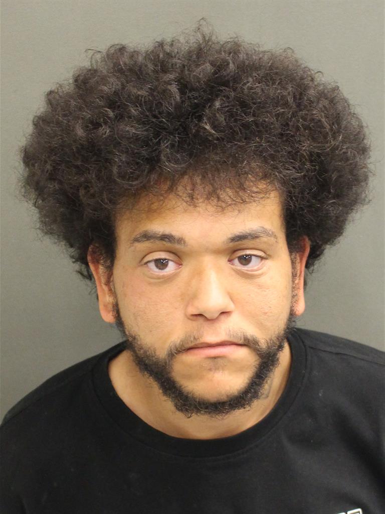  GIL HANS JR PEREZ Mugshot / County Arrests / Orange County Arrests