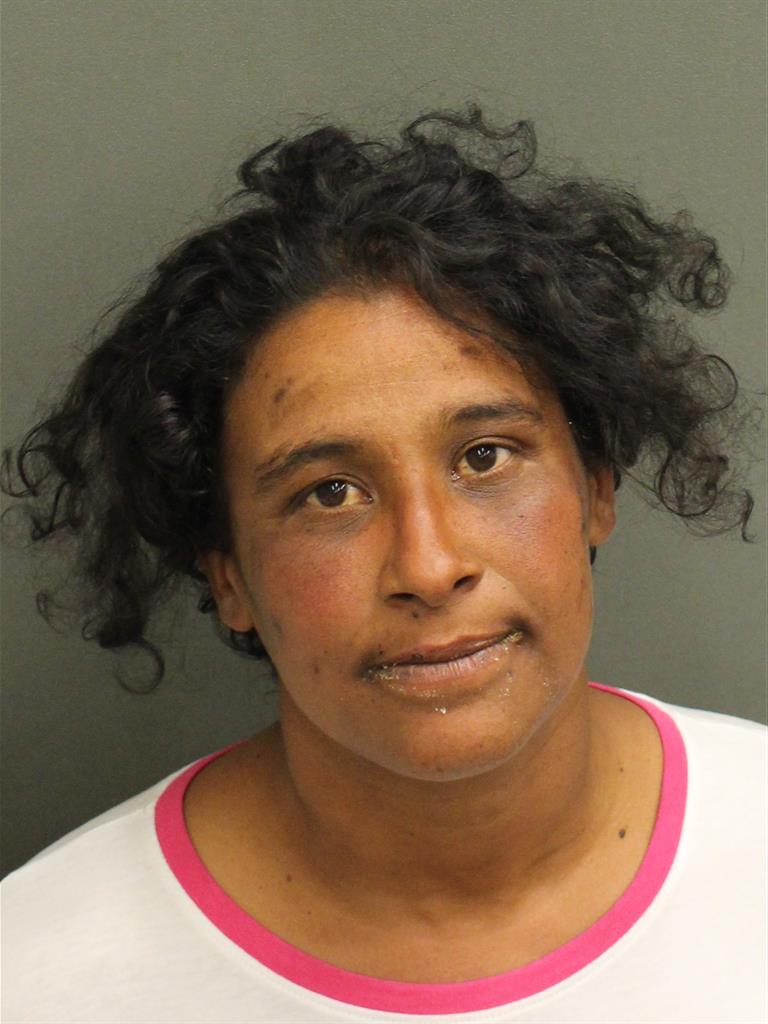  YARITZA MORALES FLORES Mugshot / County Arrests / Orange County Arrests