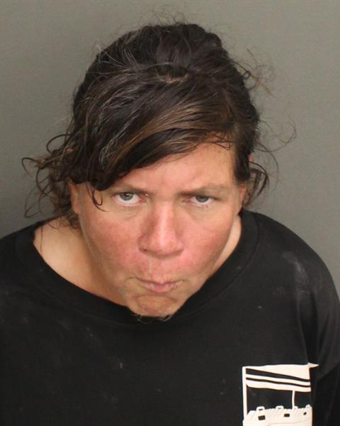  SUSAN MARIE POU Mugshot / County Arrests / Orange County Arrests