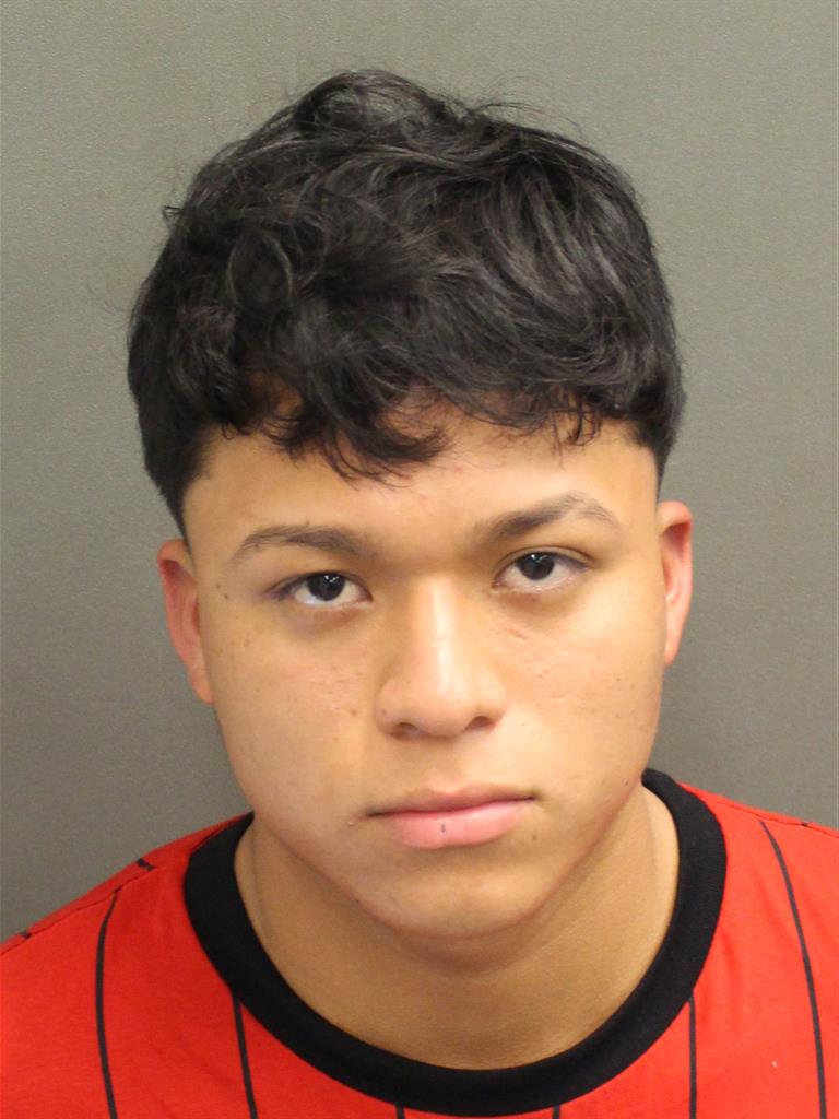  LUDWIN ERICKSON ALVERAZRAMIREZ Photo Image