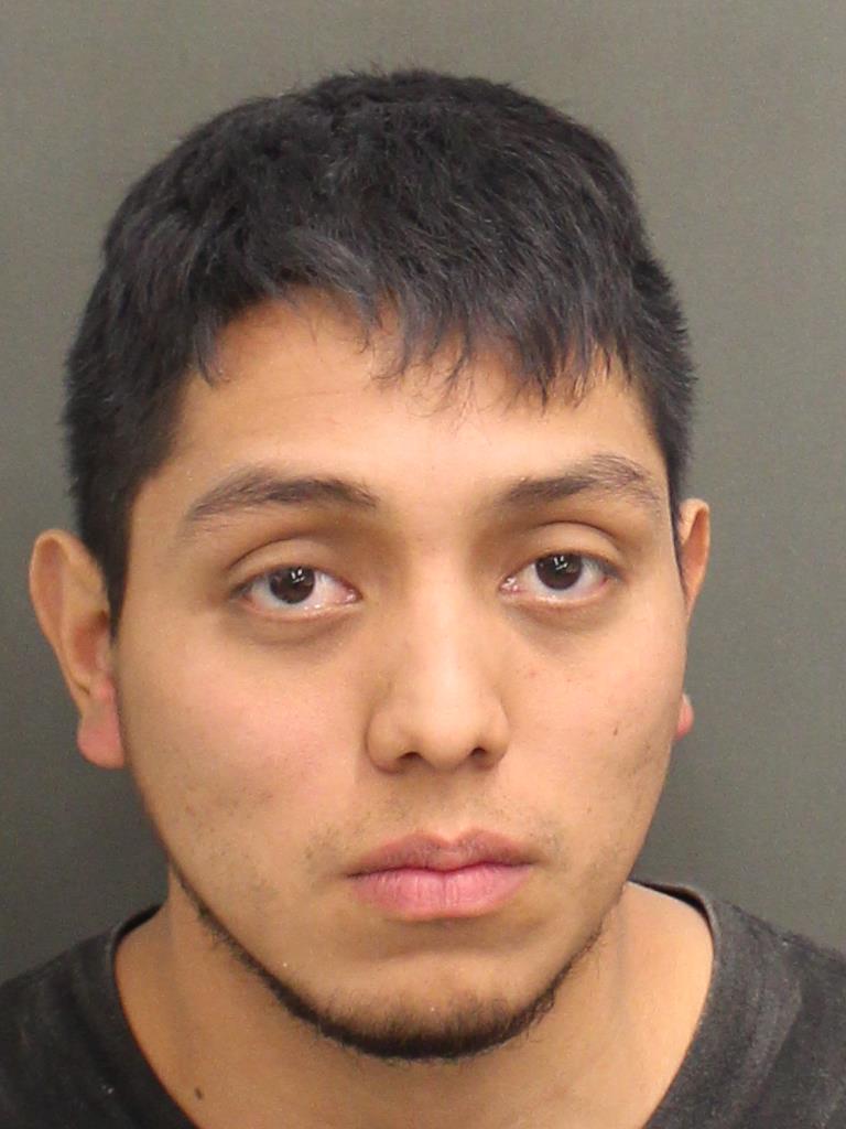  WILLIAMS EDGARDO VERDUGOGONZALEZ Mugshot / County Arrests / Orange County Arrests