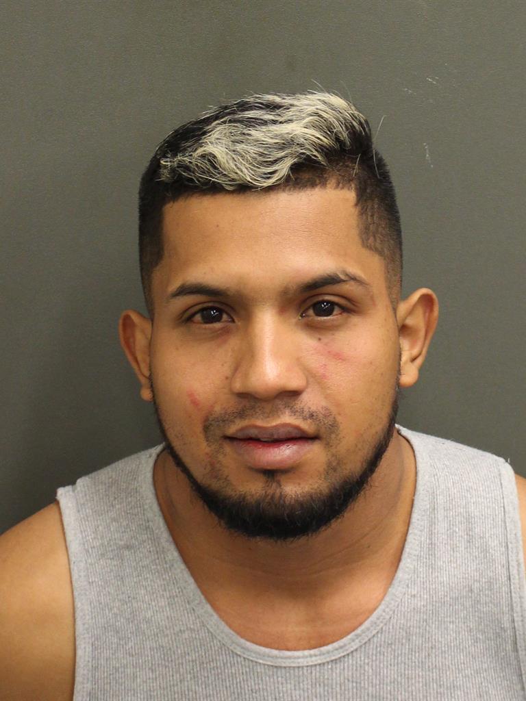  HELDER ALEXANDER AMADURVASQUEZ Mugshot / County Arrests / Orange County Arrests