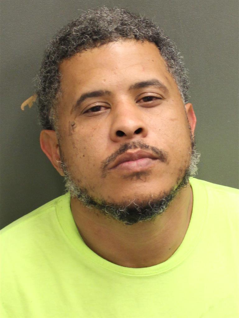  ANDIE ANDREW LANG Photo Image