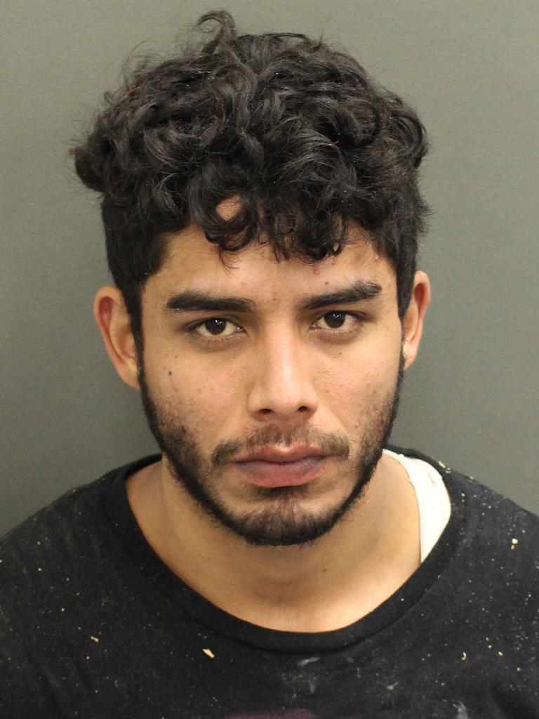  ELMER ALBINO REYESCOS Mugshot / County Arrests / Orange County Arrests