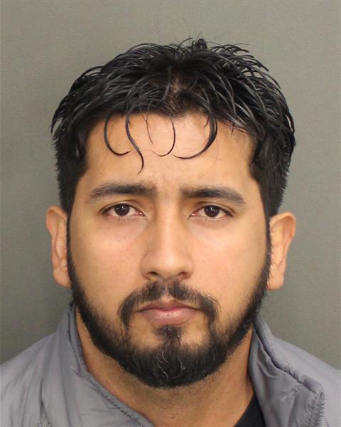  FELIPE LOPESDEARAUJO Photo Image