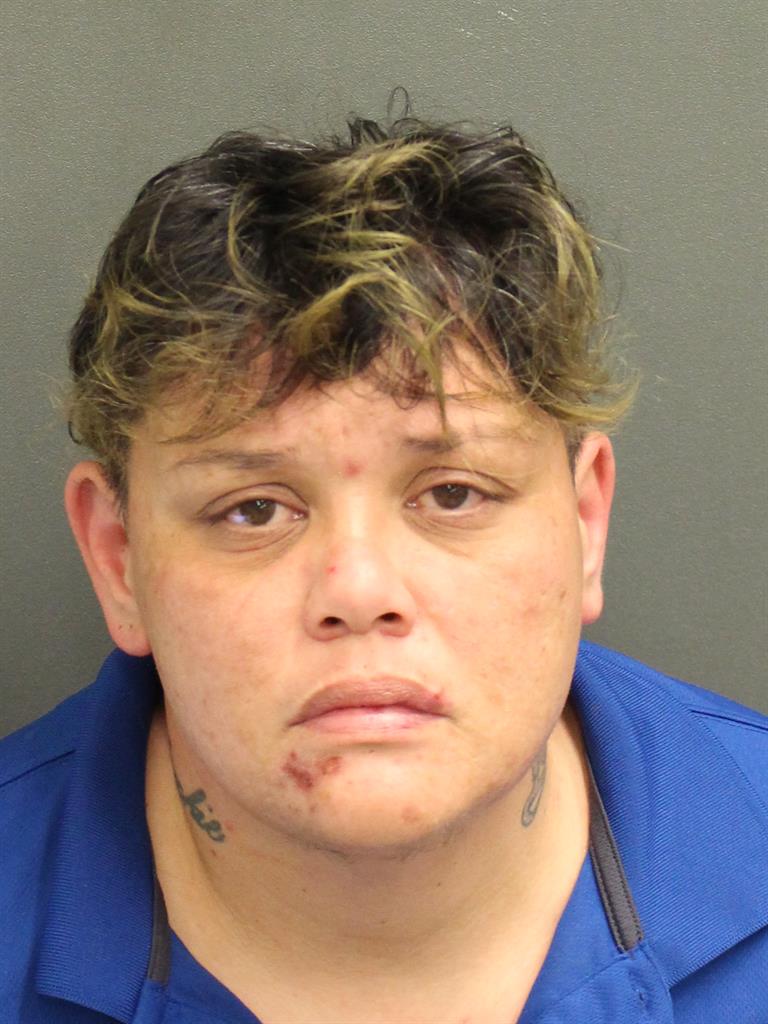  JACQUELYN GRACE KNAPIK Mugshot / County Arrests / Orange County Arrests