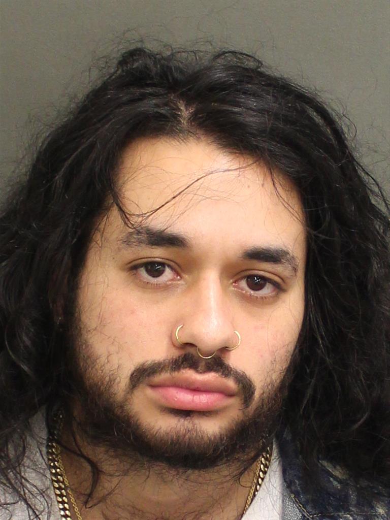 MISHAEL SUAREZSCHNEIDER Mugshot MISHAEL SUAREZSCHNEIDER Mugshot / County Arrests / Orange County Arrests