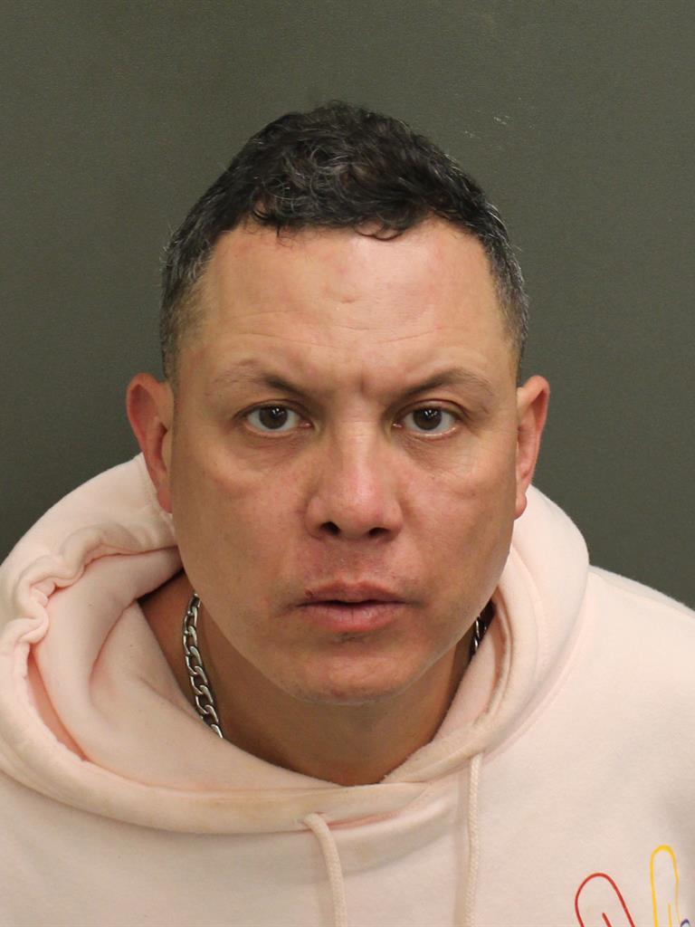  JOAN SNEIDER GUZMANCANO Mugshot / County Arrests / Orange County Arrests