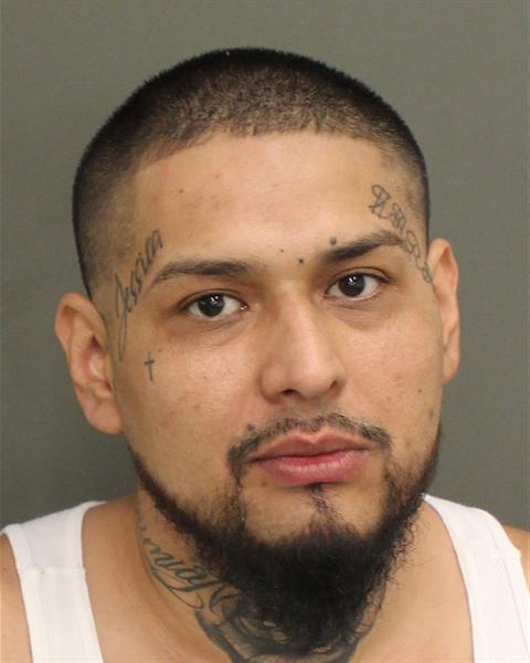  SAUL CORREA Photo Image