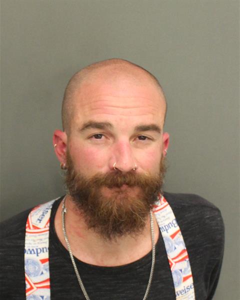  JAMES EDWARD ROSEMELLIA Mugshot / County Arrests / Orange County Arrests