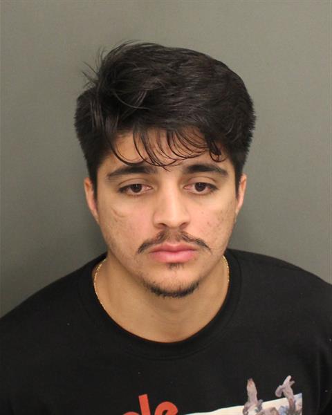  WAYNE THOMAS FELICIANOFELICIANO Mugshot / County Arrests / Orange County Arrests