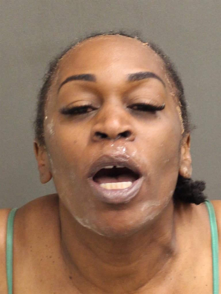  MARGUERITE PIERRE Mugshot / County Arrests / Orange County Arrests