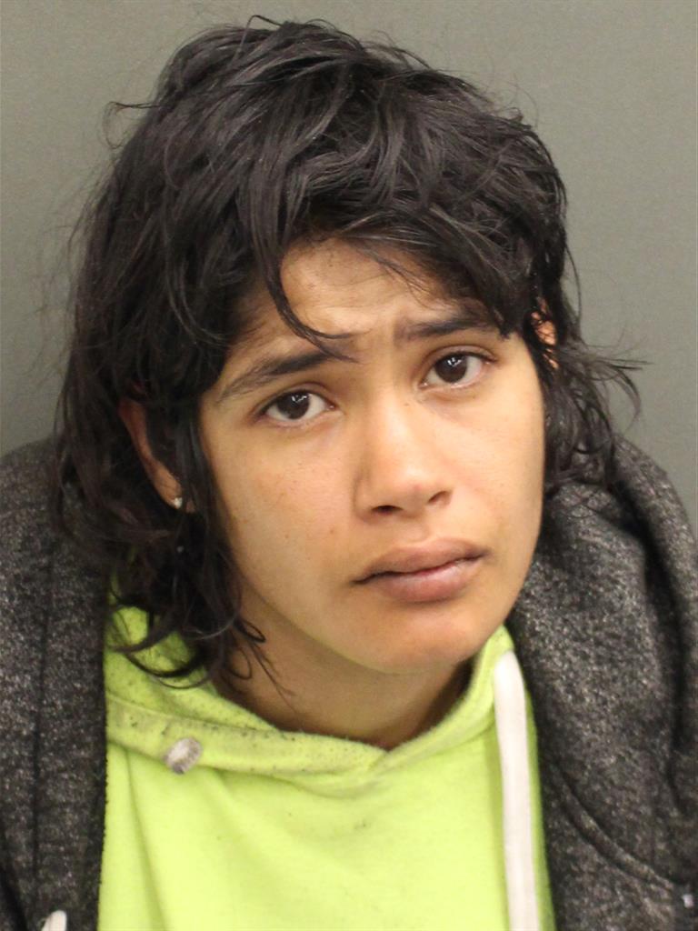  RITA LUPE MARTINEZ Mugshot / County Arrests / Orange County Arrests