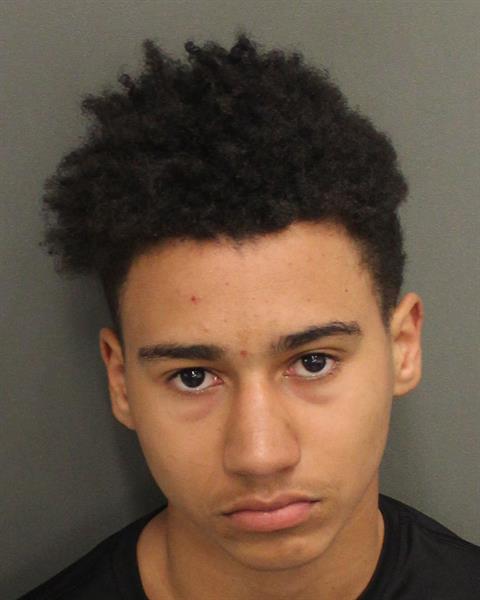  ALEXANDER ROBERT DEPASCALE Mugshot / County Arrests / Orange County Arrests