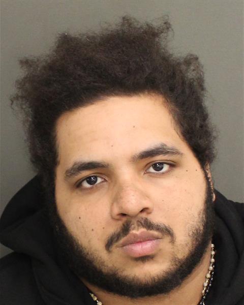  HECTOR MANUEL ROSARIOREYES Mugshot / County Arrests / Orange County Arrests