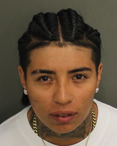  JAILENE ELIZABETH ORTEGA Mugshot / County Arrests / Orange County Arrests