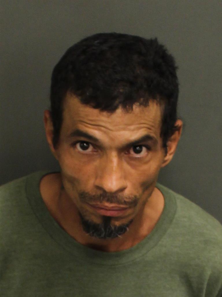  PEDRO JR TORRES Mugshot / County Arrests / Orange County Arrests