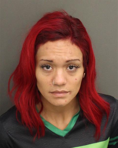  CHRISTINE DELAROSA Mugshot / County Arrests / Orange County Arrests