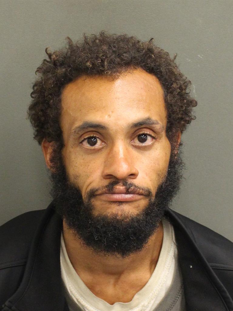  SEBASTIAN LUISMARTIN FERNANDEZ Mugshot / County Arrests / Orange County Arrests