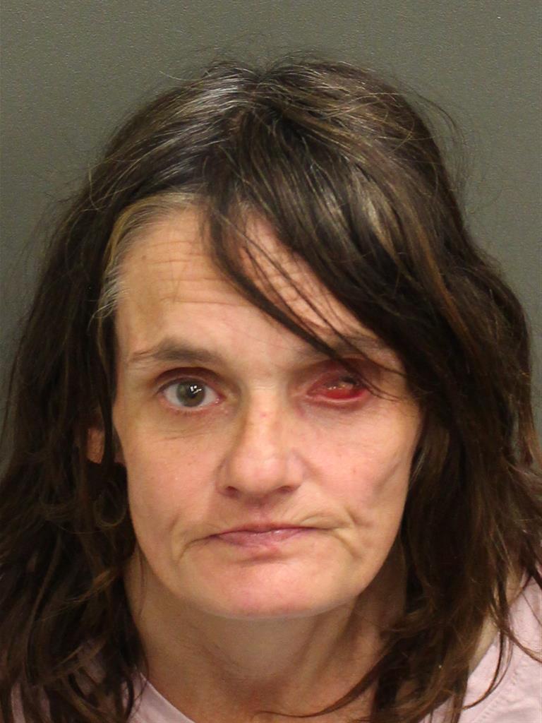  LAURA LOUISE HODGE Mugshot / County Arrests / Orange County Arrests