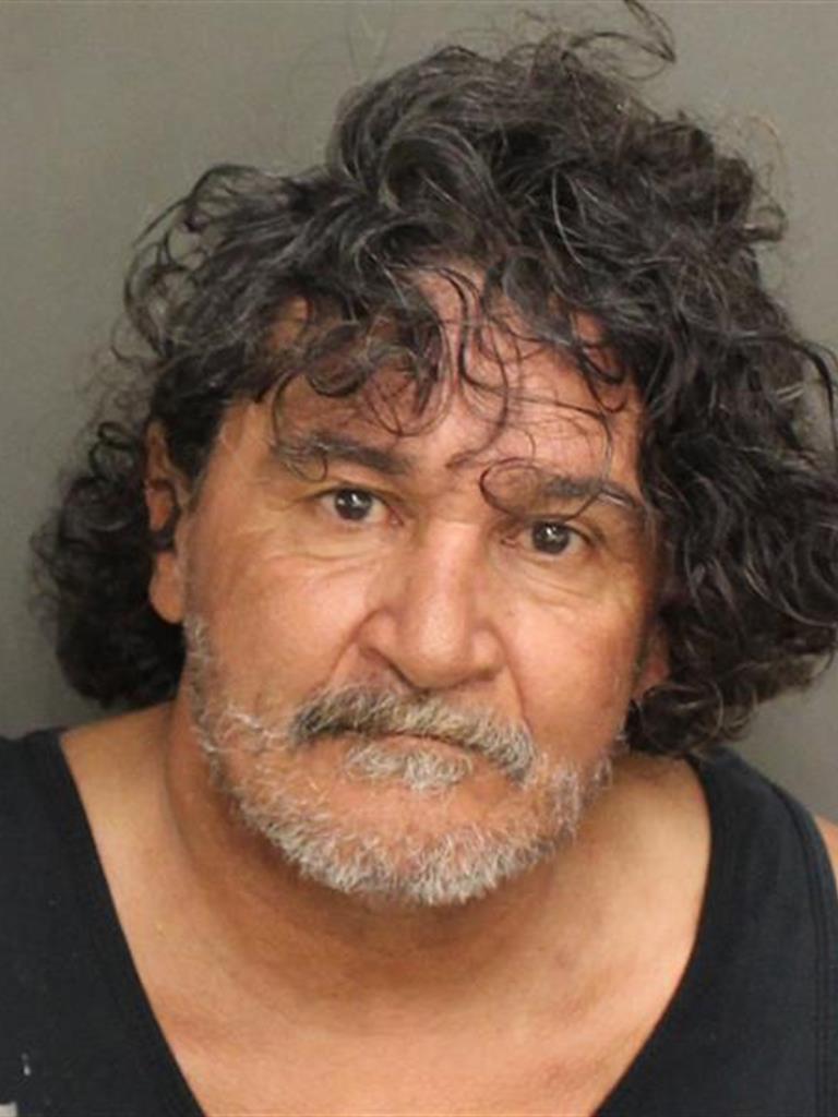  ELIESIN ROSARIO FERNANDEZ Mugshot / County Arrests / Orange County Arrests