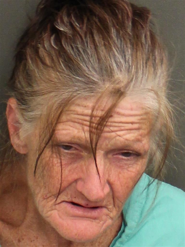  SHEILA MARIE SUMMERLIN Mugshot / County Arrests / Orange County Arrests