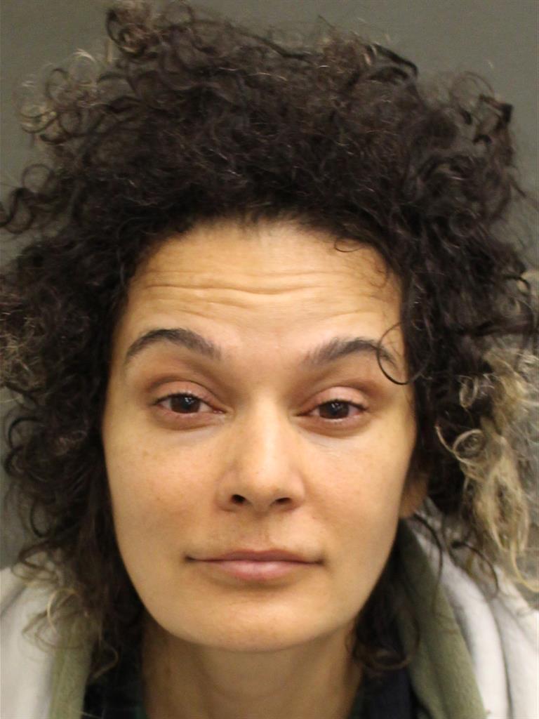  TREENA JEANETTE RUBERG Mugshot / County Arrests / Orange County Arrests