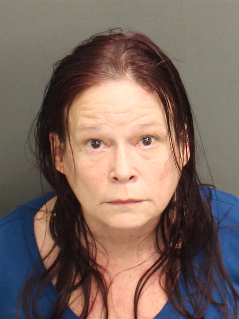  ERICA SUZANNE FENTONCASTILLO Mugshot / County Arrests / Orange County Arrests
